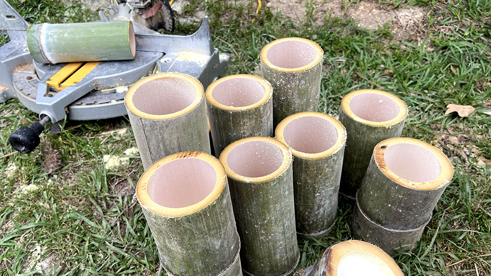 Bamboo cutting